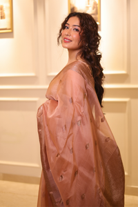 BEIGE GOLD - Beige with antique gold zari work comes with blouse piece