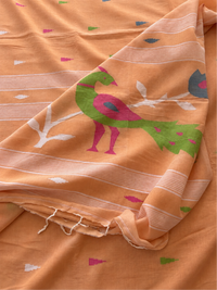 PEACH SOFT COTTON- Comes with blouse piece