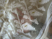 SHUVRO - Creamish white cotton jamdani saree comes with blouse piece