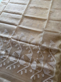 KUASHA - White muslin jamdani saree