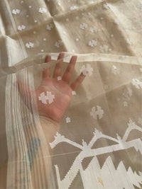 KUASHA - White muslin jamdani saree